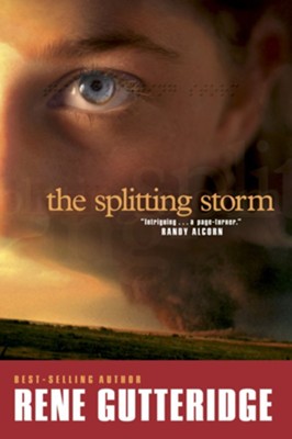 Cover of The Splitting Storm - eBook