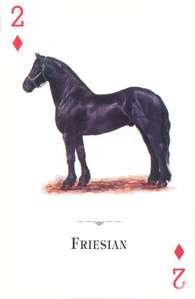 Cover of Horses of the World Playing Cards