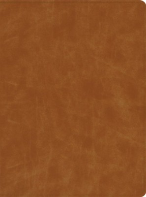 Cover of CSB Lifeway Women's Bible--genuine leather, butterscotch