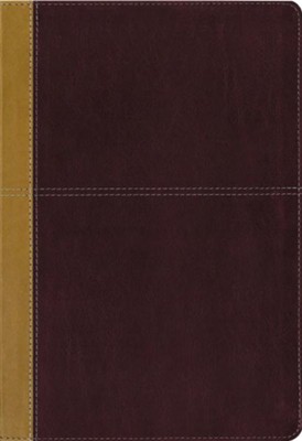 Cover of KJV and Amplified Parallel Bible, Large Print, Leathersoft, Camel/rich red