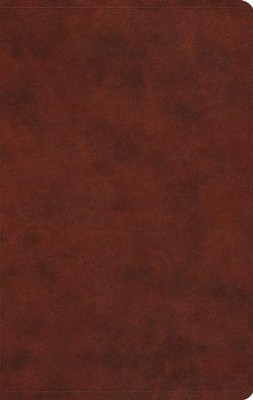 Cover of ESV Large Print Value Thinline Bible (TruTone, Chestnut), Leather, imitation, Brown