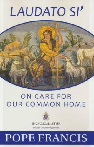 Cover of Laudato Si - On Care for Our Common Home