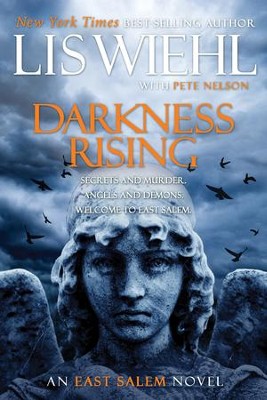 Cover of Darkness Rising - eBook