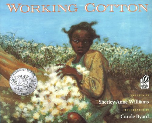Cover of Working Cotton, Softcover