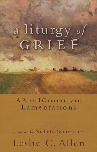 Cover of A Liturgy of Grief: A Pastoral Commentary on Lamentations