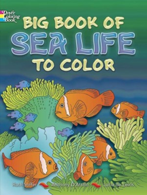 Cover of Big Book of Sea Life to Color
