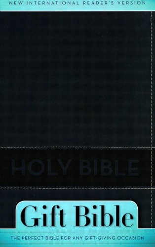 Cover of NIrV Gift Bible, Duo-Tone Slate Blue