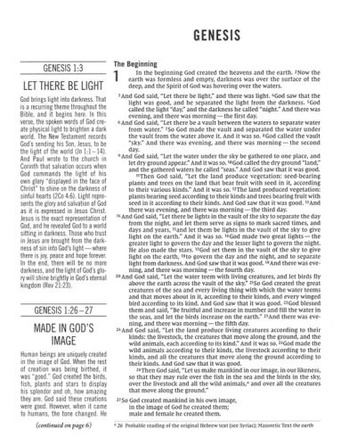 Cover of NIV Comfort Print Jesus Bible--soft leather-look, brown (indexed)