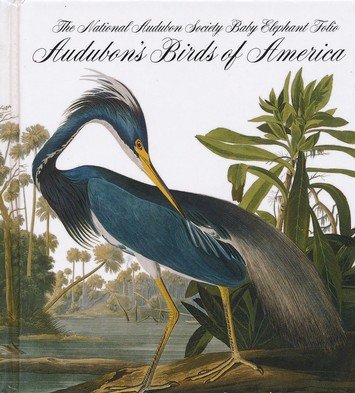 Cover of Audubon's Birds of America: Tiny Folio