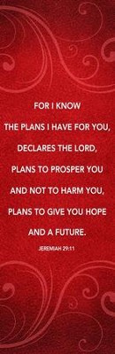 Cover of Flourish Jeremiah 29:11 Vinyl Banner (2 x 6)