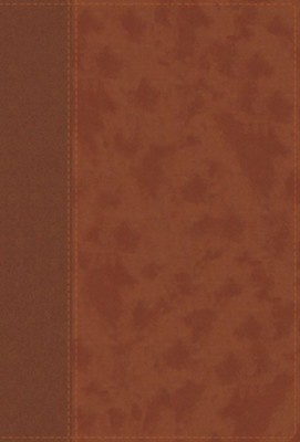 Cover of NIV Personal-Size Large-Print Bible--soft leather-look, brown (indexed)