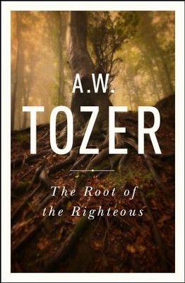 Cover of The Root of the Righteous - eBook