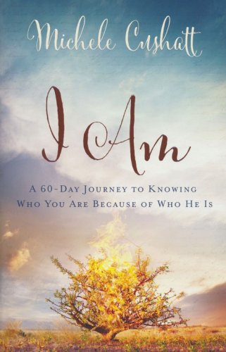 Cover of I Am: A 60-Day Journey to Knowing Who You Are Because of Who He Is