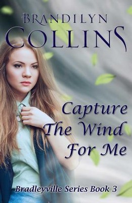 Cover of Capture The Wind For Me - eBook