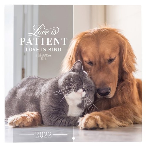 Cover of Love Is Patient 2022 Wall Calendar, Small
