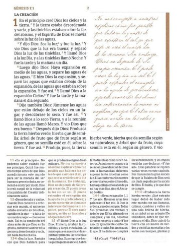 Cover of RVR 1960 Biblia de estudio Spurgeon, negro piel genuina (Spurgeon Study Bible, genuine leather black)