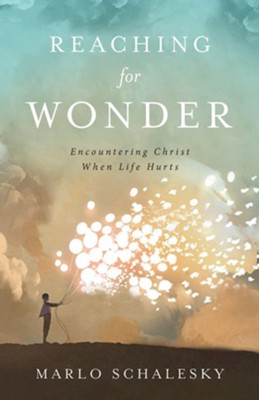 Cover of Reaching for Wonder: Encountering Christ When Life Hurts - eBook
