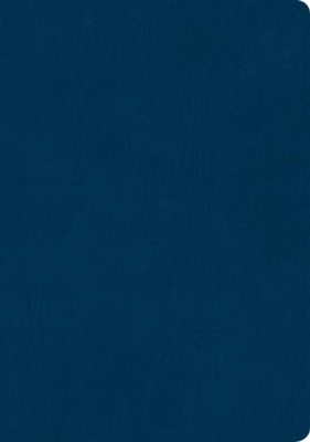 Cover of NTV Santa Biblia, Edicion cl<\#225>sica LeatherLike Blue, NTV Holy Bible, Classic Edition--soft leather-look, blue