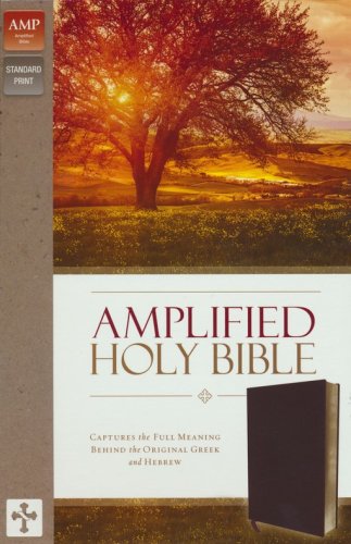 Cover of Amplified Thinline Holy Bible--bonded leather, burgundy