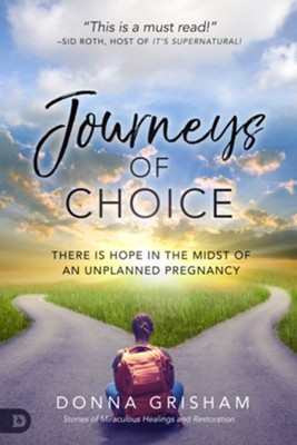 Cover of Journeys of Choice: There is Hope in the Midst of an Unplanned Pregnancy