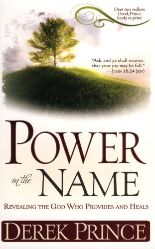 Cover of Power in the Name
