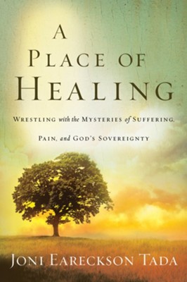 Cover of A Place of Healing - eBook