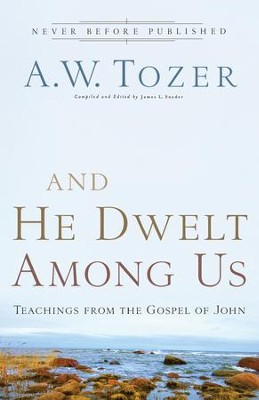 Cover of And He Dwelt Among Us: Teachings from the Gospel of John - eBook