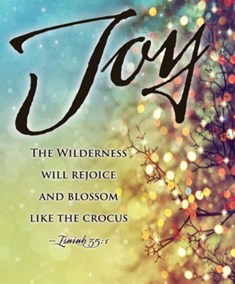 Cover of Joy Lights Images Advent Large Bulletins, Pack of 50