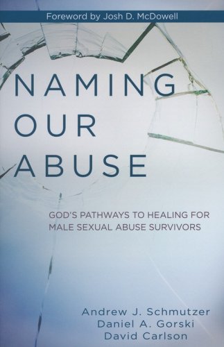 Cover of Naming Our Abuse: God's Pathways to Healing for Male Sexual Abuse Survivors