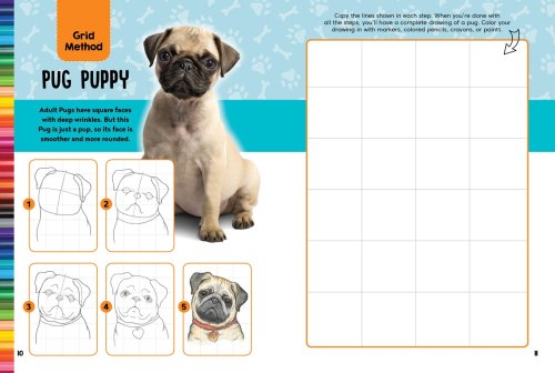 Cover of Dogs & Puppies Drawing & Activity Book