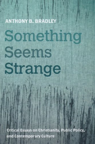 Cover of Something Seems Strange: Critical Essays on Christianity, Public Policy, and Contemporary Culture