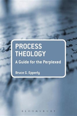 Cover of Process Theology: A Guide for the Perplexed