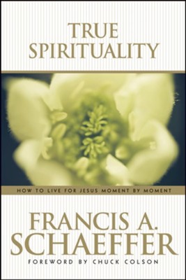 Cover of True Spirituality - eBook