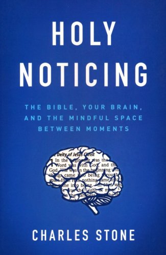 Cover of Holy Noticing: The Bible, Your Brain, and the Mindful Space Between Moments