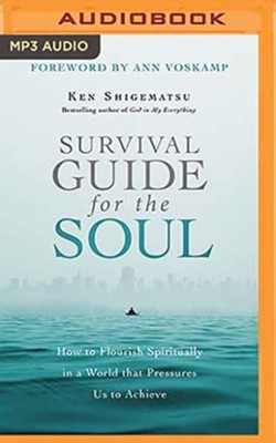 Cover of Survival Guide for the Soul: How to Flourish Spiritually in a World that Pressures Us to Achieve - unabridged audiobook on MP3-CD
