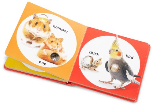Cover of Small Poke-A-Dot: Pet Families Activity Book
