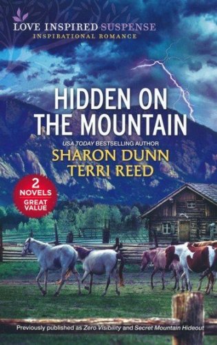 Cover of Hidden on the Mountain