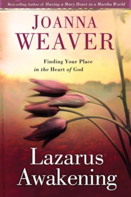 Cover of Lazarus Awakening: Finding Your Place in the Heart of God - eBook