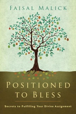 Cover of Positioned to Bless: Secrets to Fulfilling Your Divine Assignment - eBook