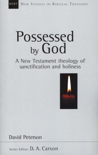 Cover of Possessed by God: A New Testament Doctrine of Sanctification and Holiness (New Studies in biblical Theology)