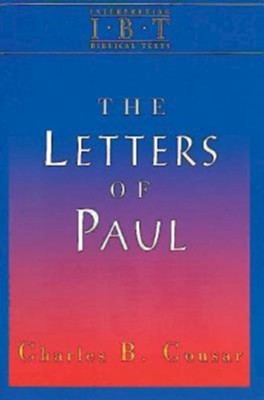Cover of Interpreting Biblical Texts Series - The Letters of Paul - eBook