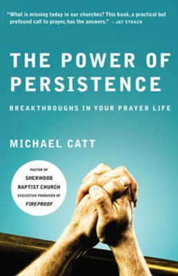 Cover of The Power of Persistence - eBook