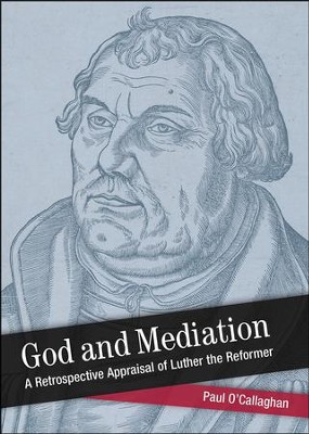 Cover of God and Mediation: Retrospective Appraisal of Luther the Reformer