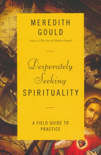Cover of Desperately Seeking Spirituality: A Field Guide to Practice