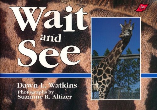 Cover of Wait & See