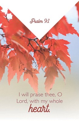 Cover of I Will Praise Thee, O Lord (Psalm 9:1, KJV) Bulletins, 100