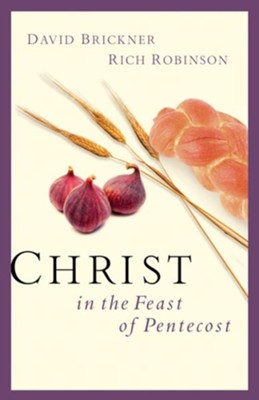 Cover of Christ in the Feast of Pentecost - eBook
