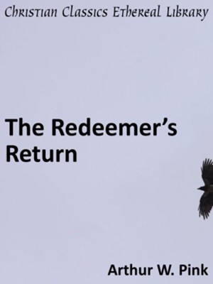 Cover of Redeemera's Return - eBook