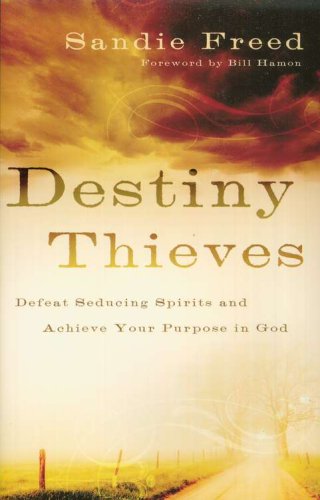 Cover of Destiny Thieves