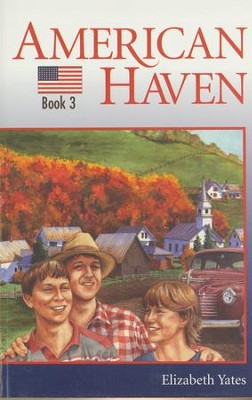 Cover of American Haven - eBook